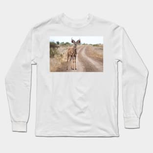 Kudu Antelope on Road - Krüger National Park, South Africa Long Sleeve T-Shirt